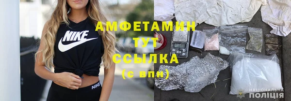 прущие грибы Аркадак