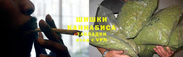 прущие грибы Аркадак
