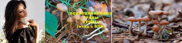 хмурый Арсеньев