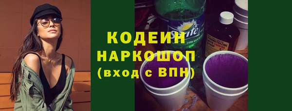 хмурый Арсеньев
