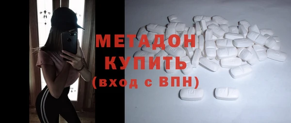 прущие грибы Аркадак