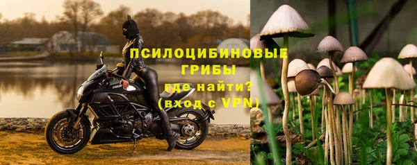 хмурый Арсеньев