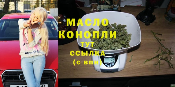 хмурый Арсеньев