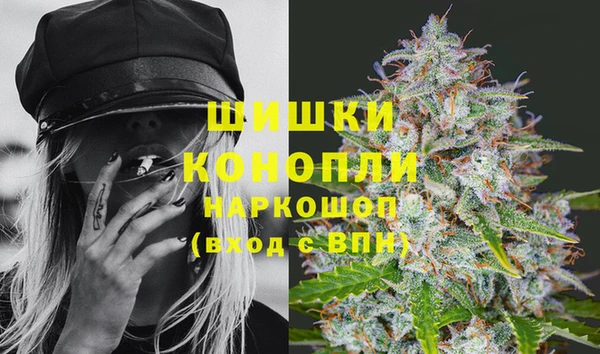 хмурый Арсеньев