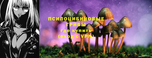 прущие грибы Аркадак