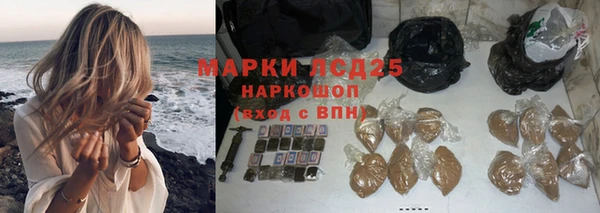 прущие грибы Аркадак