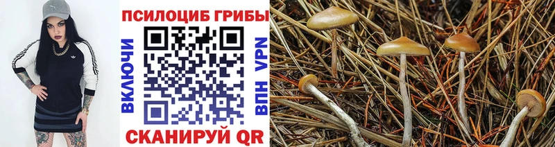 Псилоцибиновые грибы GOLDEN TEACHER  KRAKEN ссылки  Михайловск  где купить  